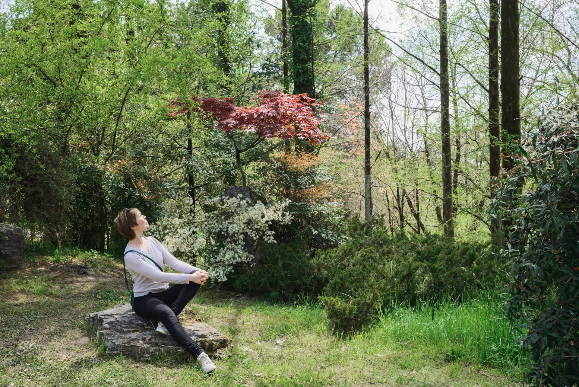 ¿Qué son los Baños de Bosque Madrid?, una herramienta eficaz de salud y bienestar en el trabajo