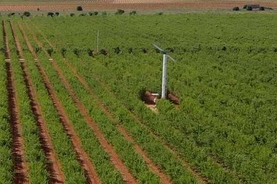 Los sistemas antihelada ecosostenibles de Grupo SPAG