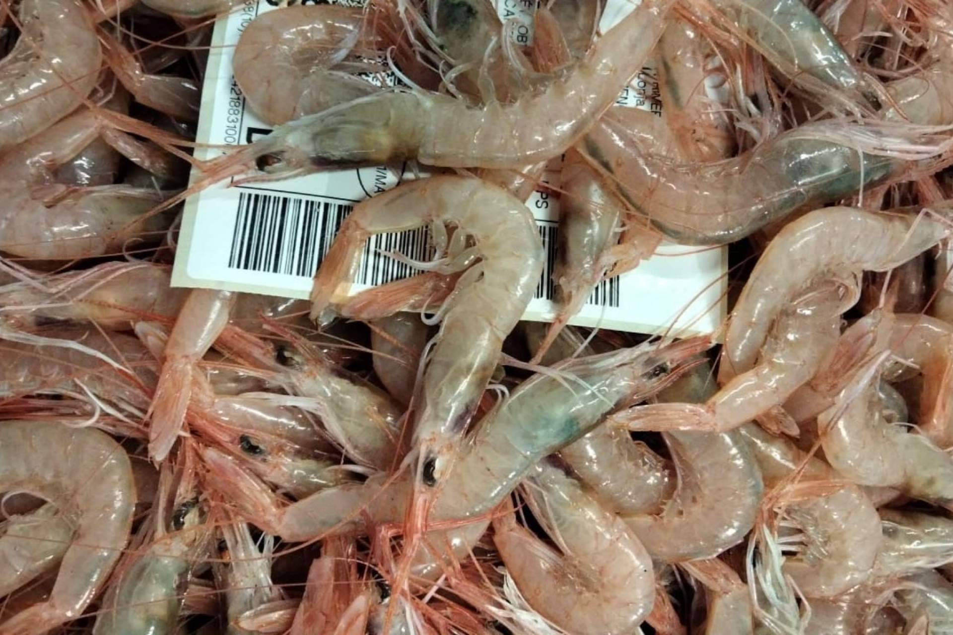 Pescadería Younes Ceuta ofrece pescados y mariscos de calidad