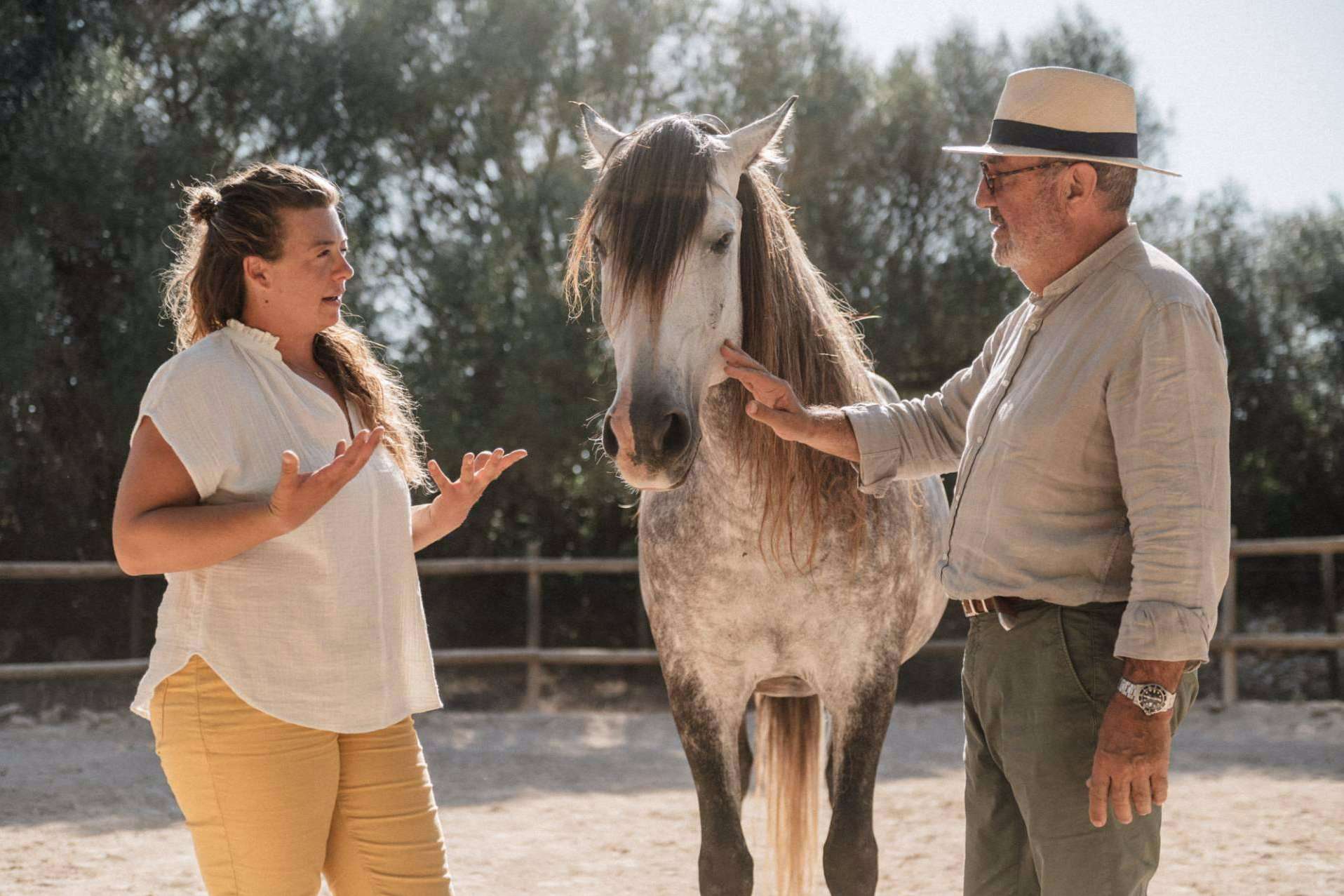 Son Cavalls ofrece coaching asistido con caballos para empresas