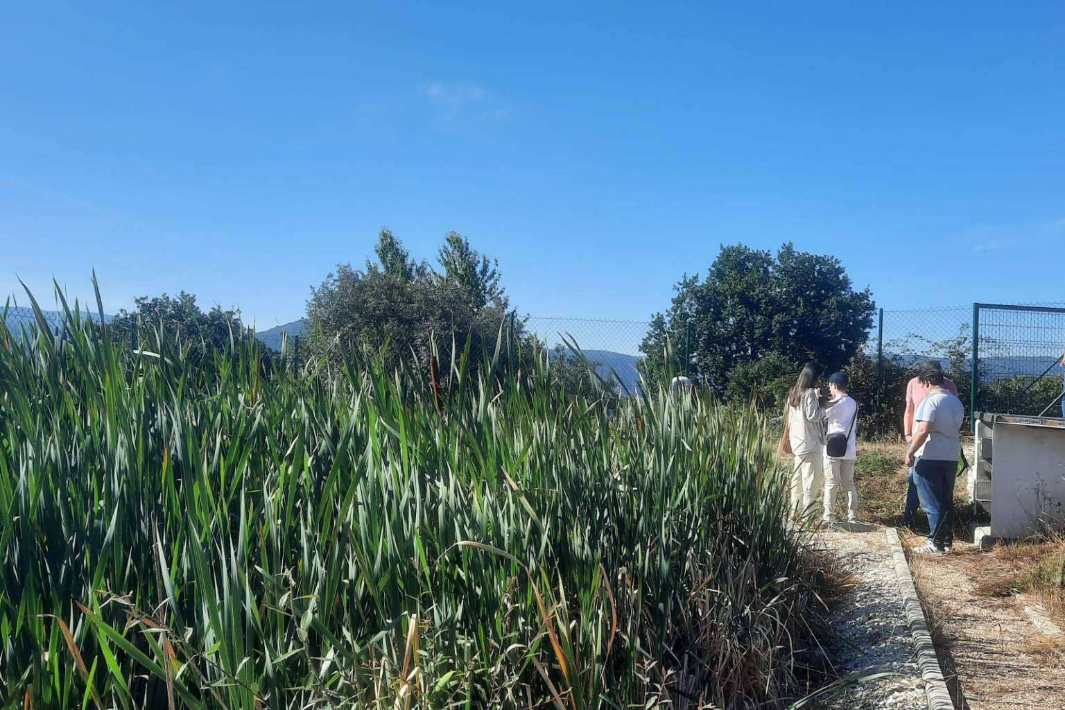 GoldProjects; los humedales como técnica medioambiental de reciclaje de aguas residuales