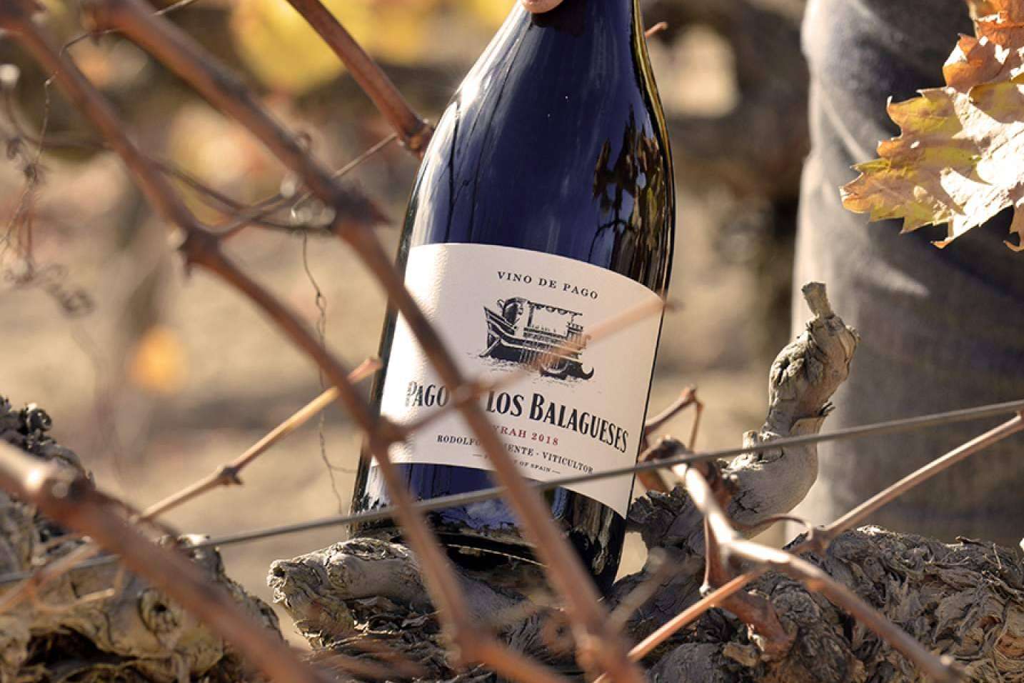 Los vinos de Bodegas Vegalfaro han sido galardonados en múltiples concursos internacionales