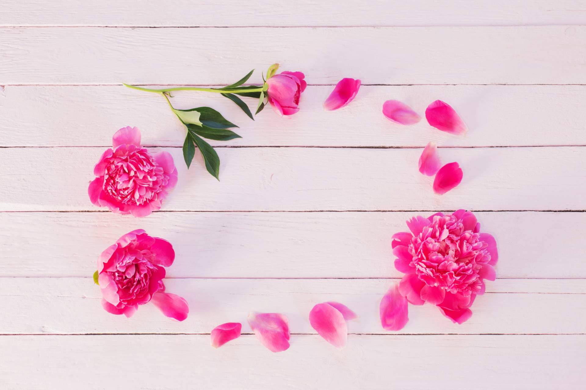 Ahora es posible desarrollar inteligencias múltiples con las flores de papel