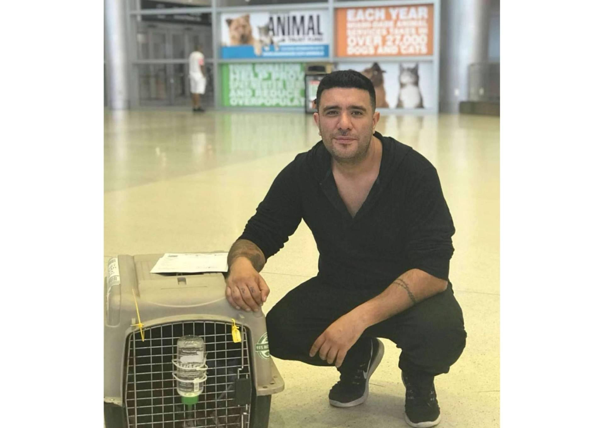 Pet World Travel, una gran solución para el transporte de mascotas a nivel nacional e internacional