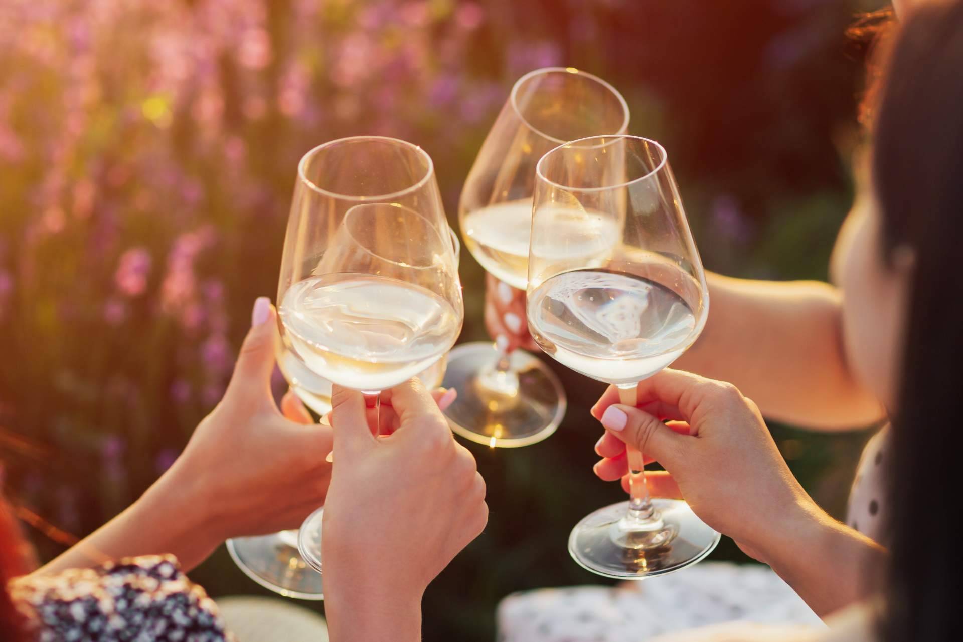 Difersa & Primavinia y su catálogo de vinos con denominación de origen