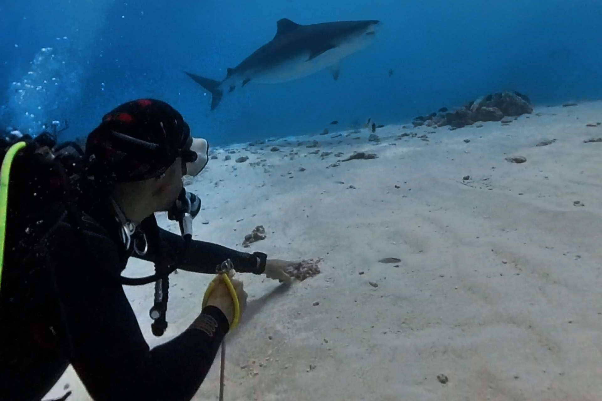 Drop Dive Maldives ha abierto un nuevo centro de buceo en Fuvahmulah
