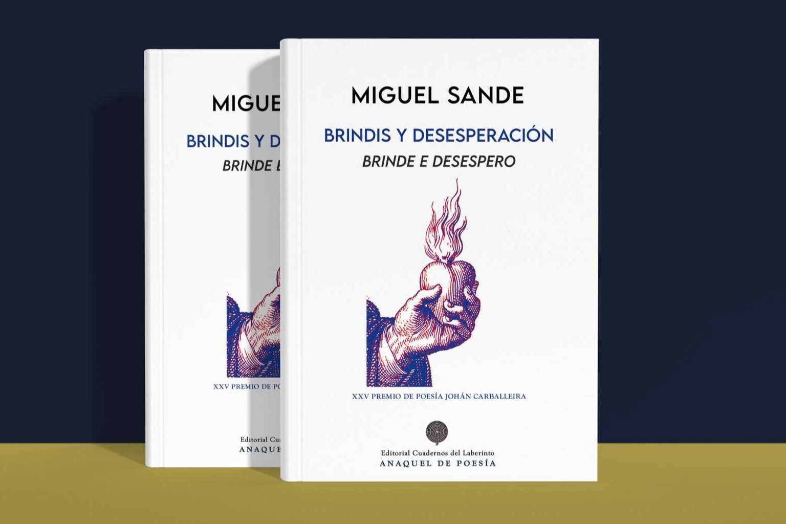 Llega a las librerías de toda España 'Brindis y desesperación', del poeta gallego Miguel Sande