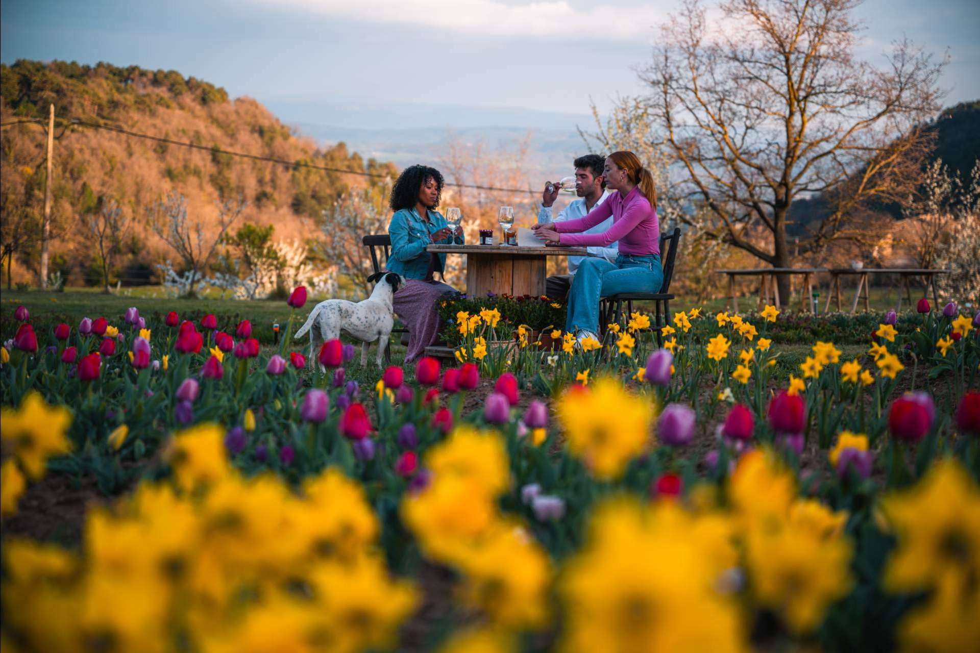 Un refugio para los amantes de la naturaleza y las flores es Niudàlia