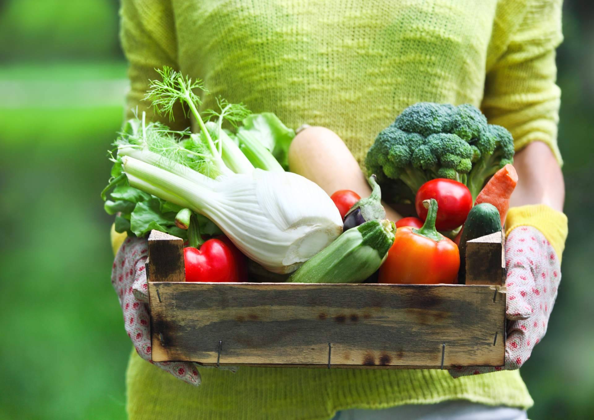 Horta de l'Eixample, la plataforma para comprar fruta online que trabaja con certificación ecológica