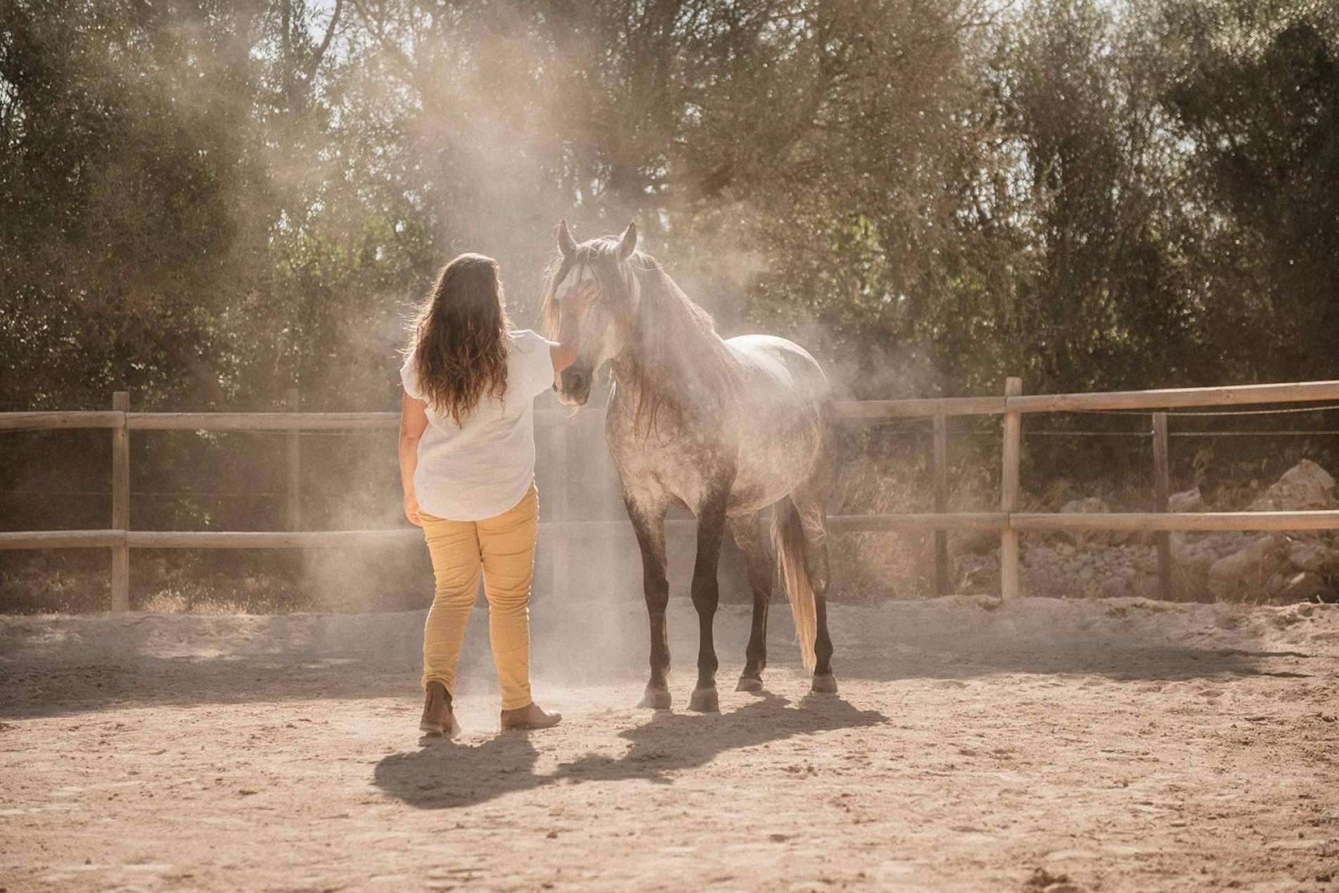 Reducción y gestión de estrés a través de coaching asistido por caballos
