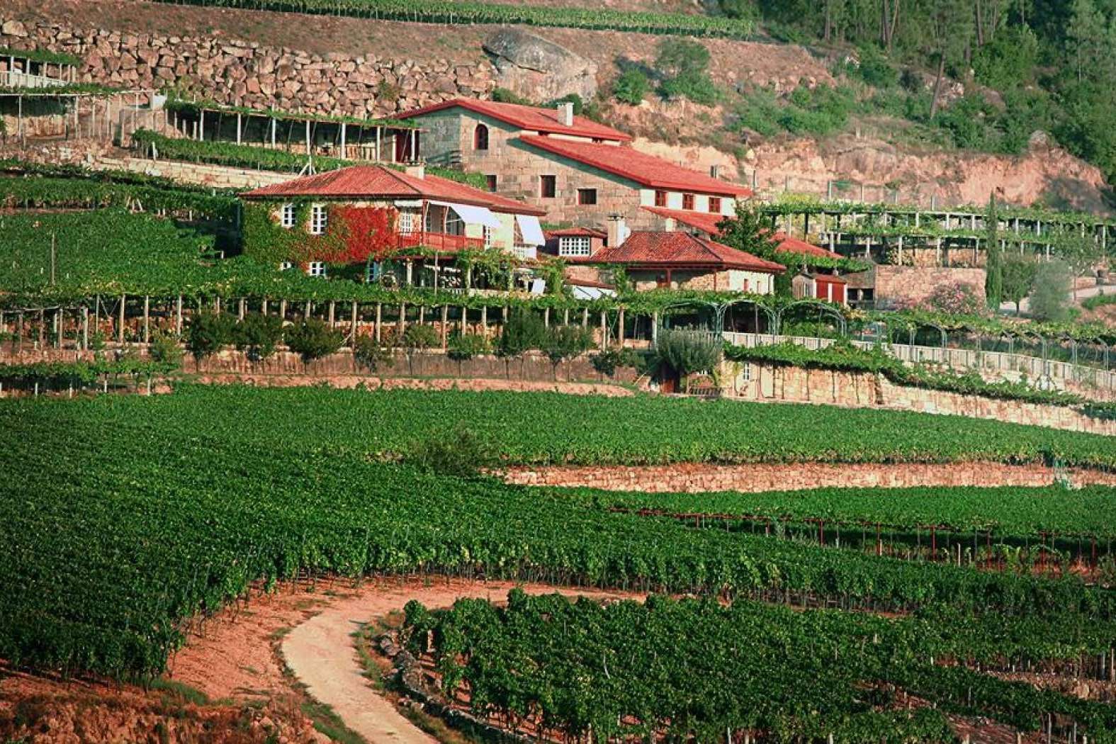 Difersa & Primavinia nuevo distribuidor de A Vilerma (D.O. Ribeiro) tras la compra de la bodega por el grupo Jose Pariente