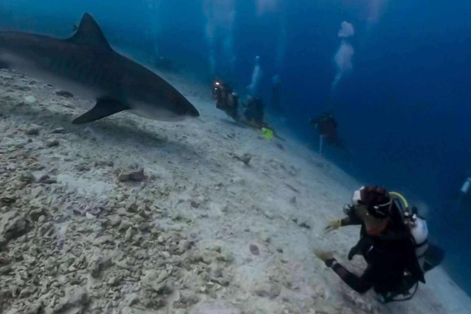 Programas de buceo personalizado en las mejores islas de Maldivas