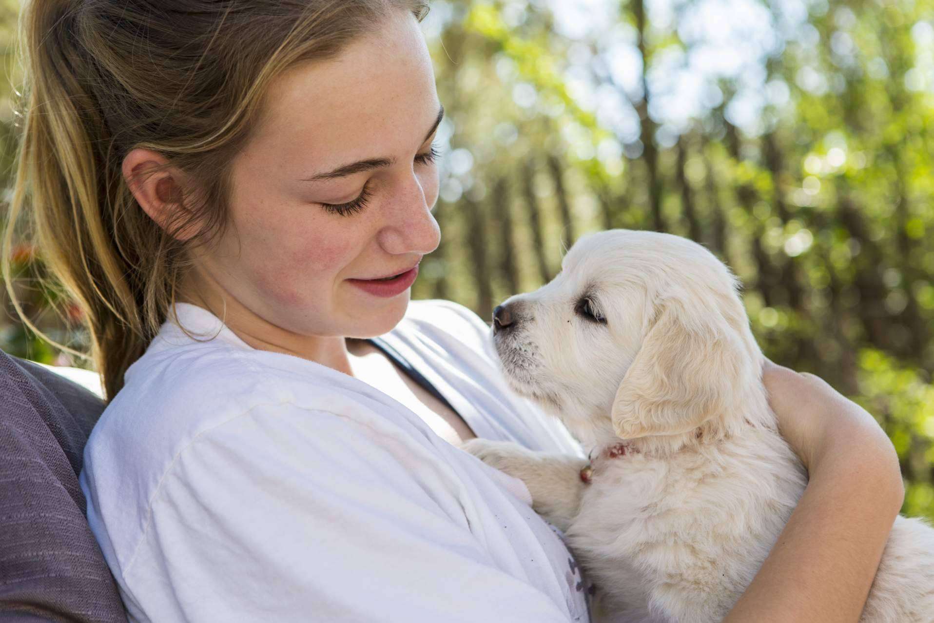 Encontrar perros y gatos para adoptar gratis es más sencillo gracias a Mascotasadopcion.com