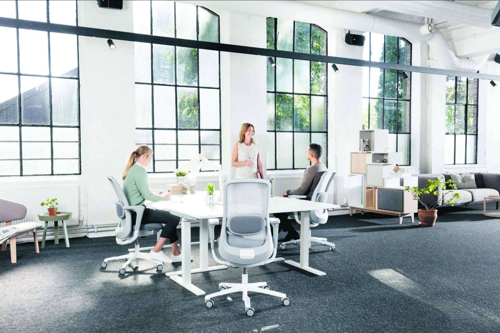 Las sillas ergonómicas ajustables de Mobiliar ofrecen comodidad y apoyo durante la jornada laboral