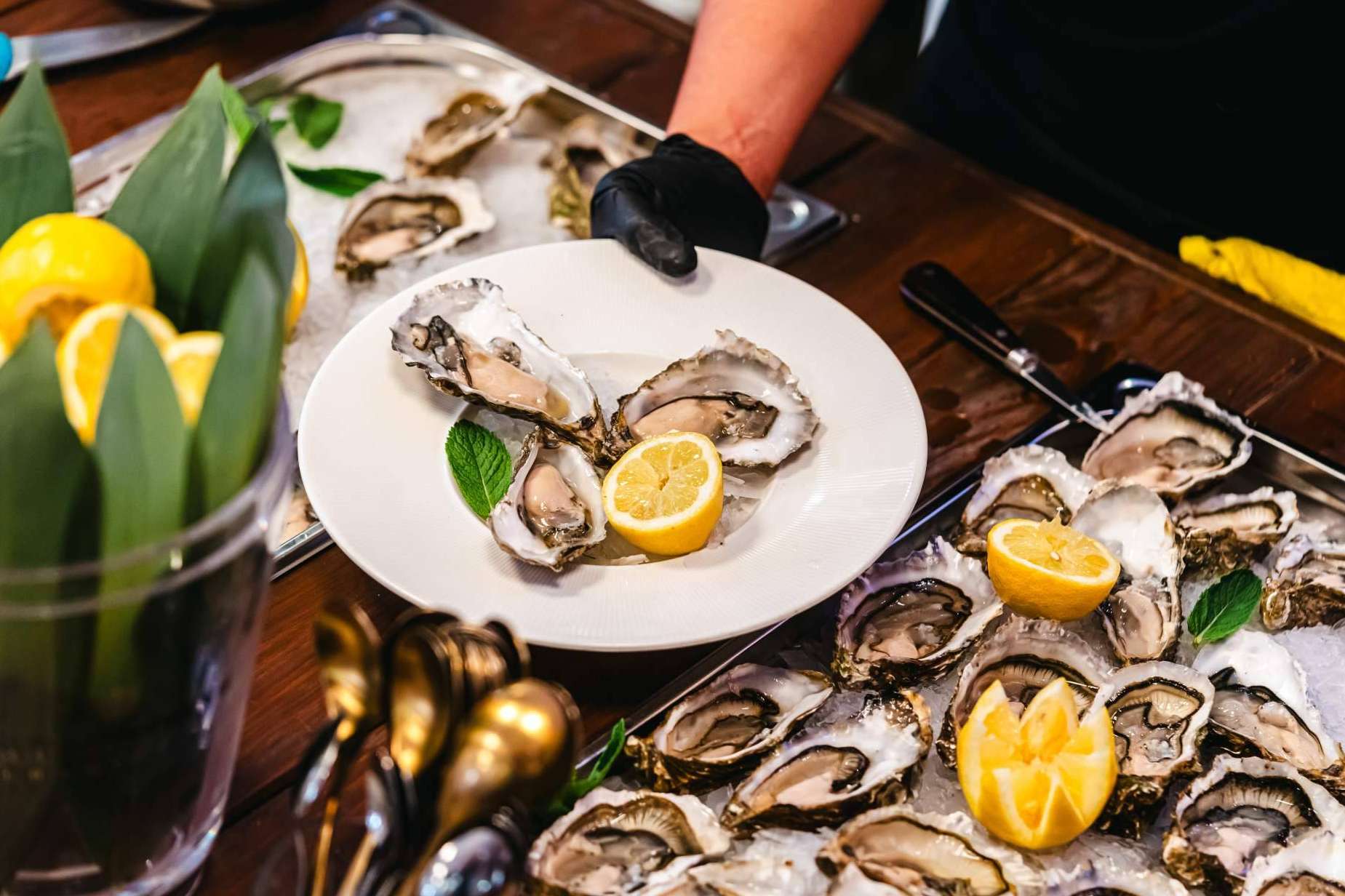 Exclusividad y Excelencia; La Gastronomía de Murcia es Transformada por La Claire Oysters y Albaladejo.