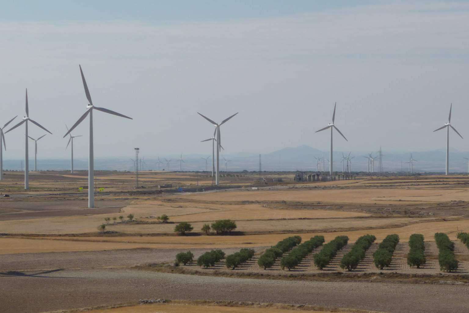 BayWa r.e. destaca la importancia de una gestión integrada de activos en el campo de la energía renovable