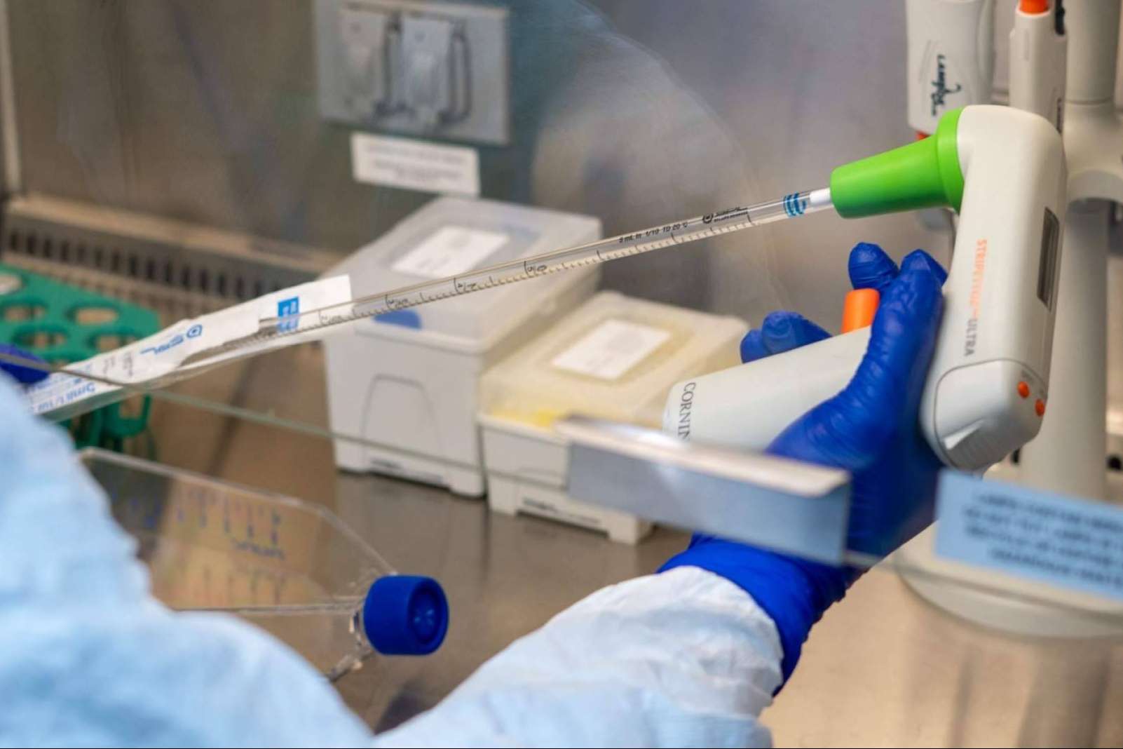 Oncovix, el programa de inmunoterapia avanzada que revoluciona el tratamiento del cáncer
