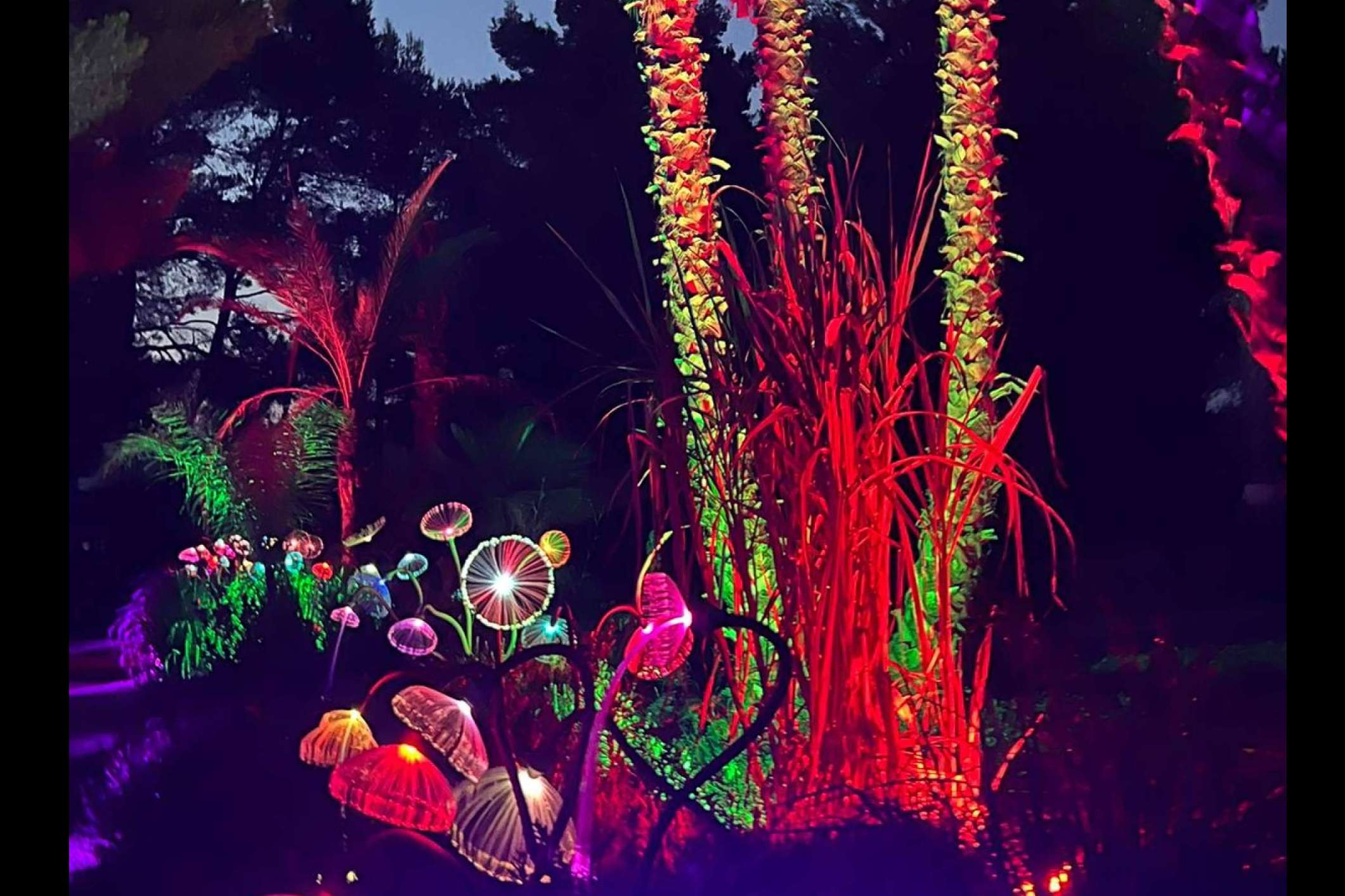 Bibo Park ofrece una experiencia interactiva diferente entre biotecnología y naturaleza