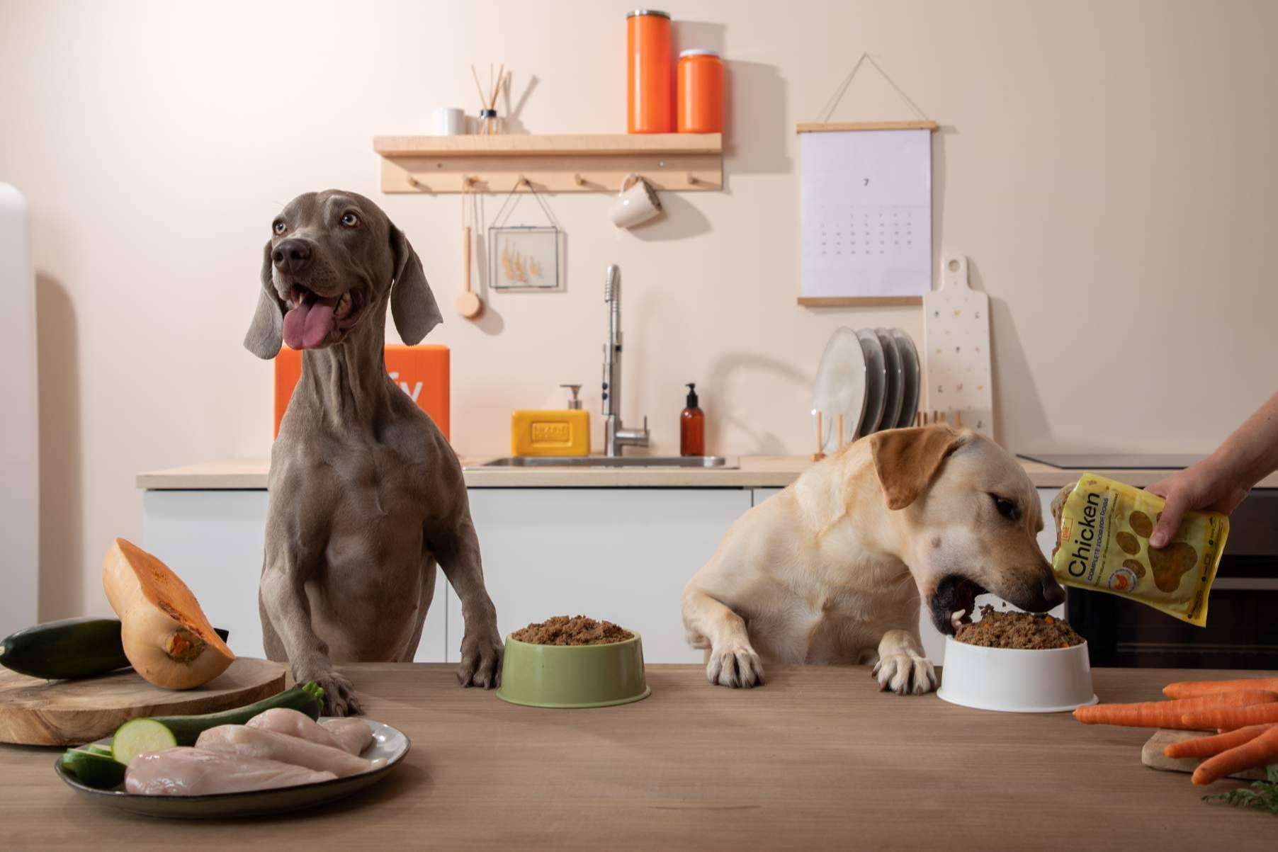 Dogfy Diet lidera la transformación hacia dietas naturales, sostenibles y personalizadas para perros