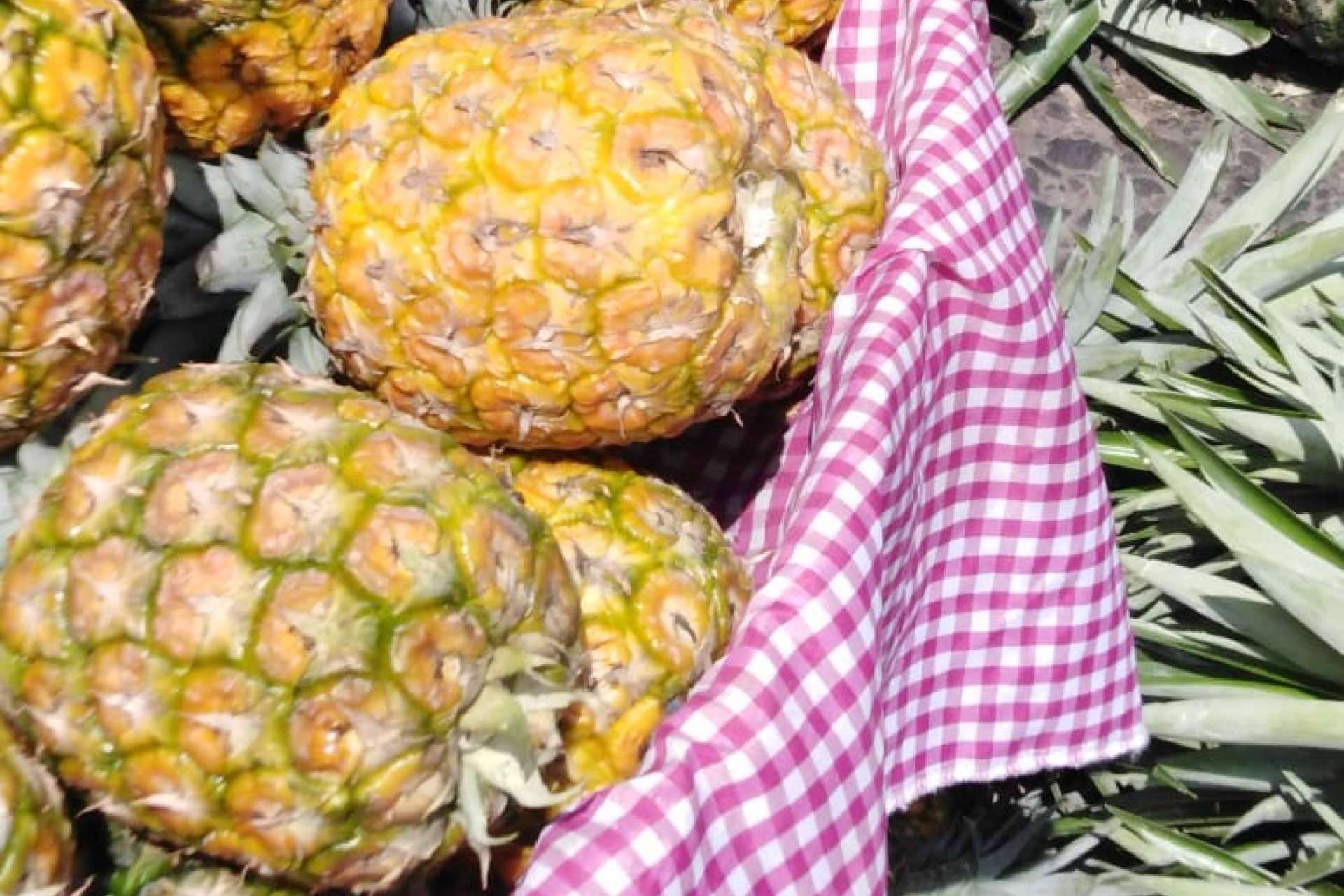 La compra de frutas y verduras en línea gana terreno con el impulso de Mercado La Terminal Online