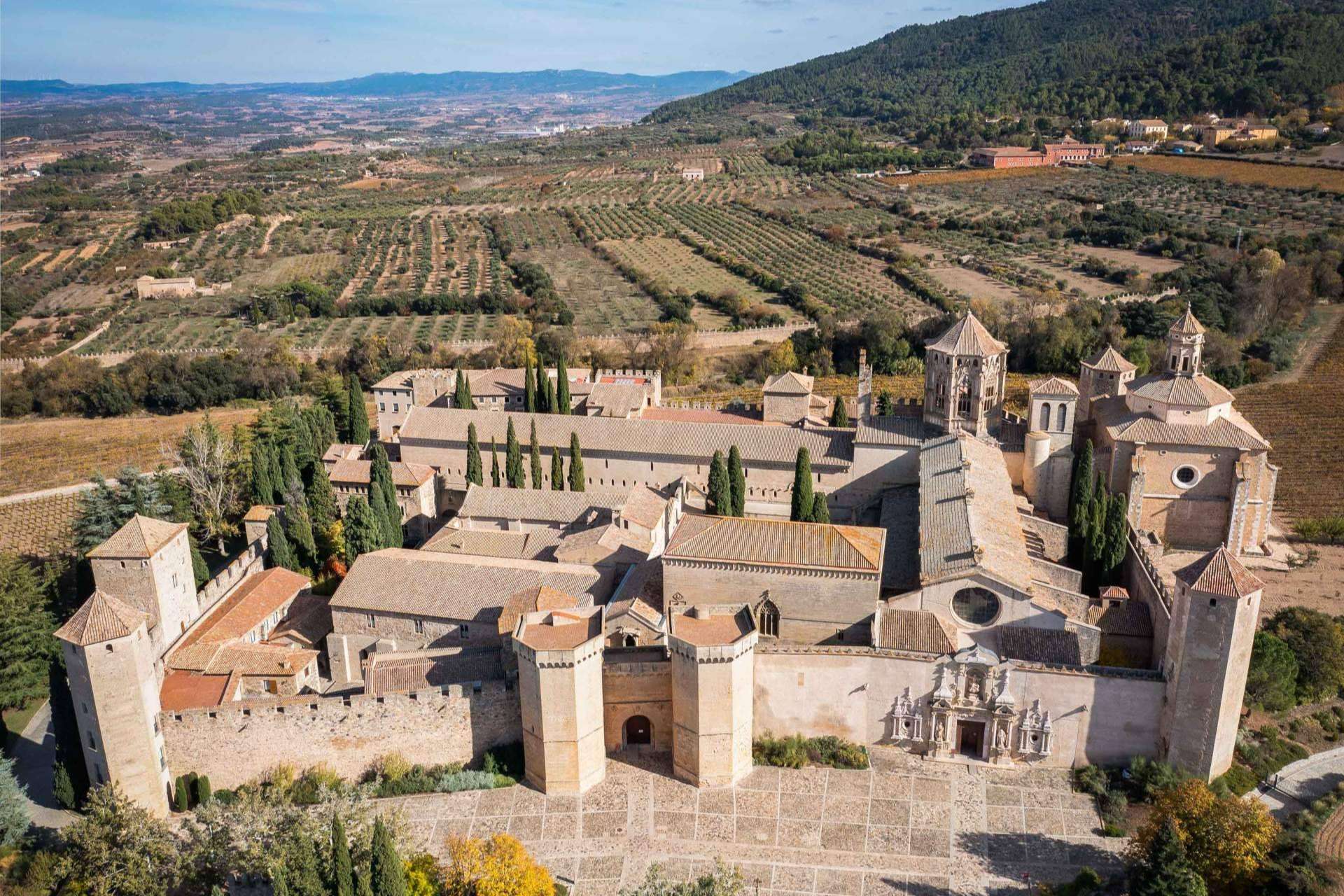 Historias que nacen desde el cielo; la mirada singular de Drone Essence sobre el territorio