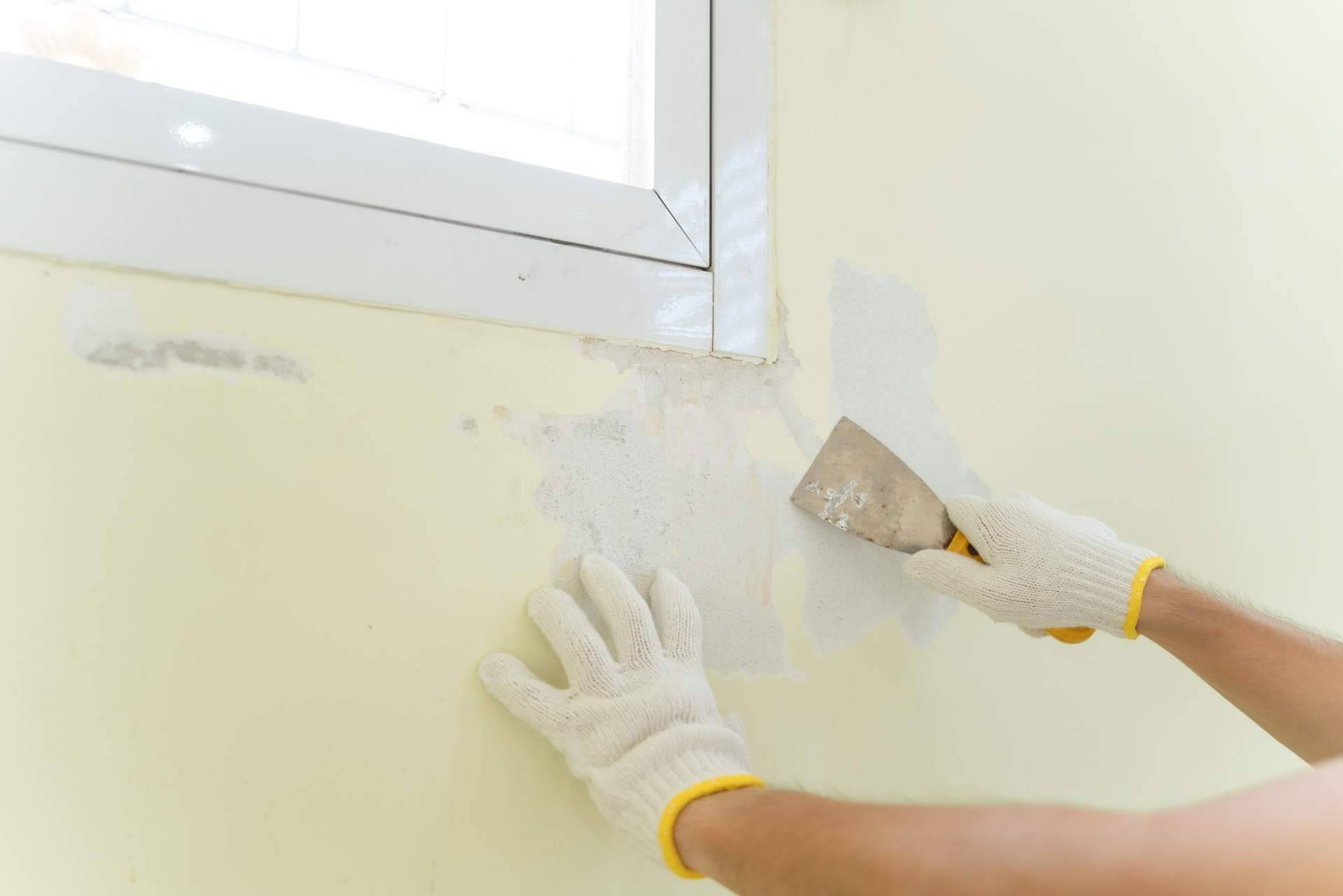 Pinturas a la Carta explica cómo preparar las paredes para lograr un acabado de pintura perfecto