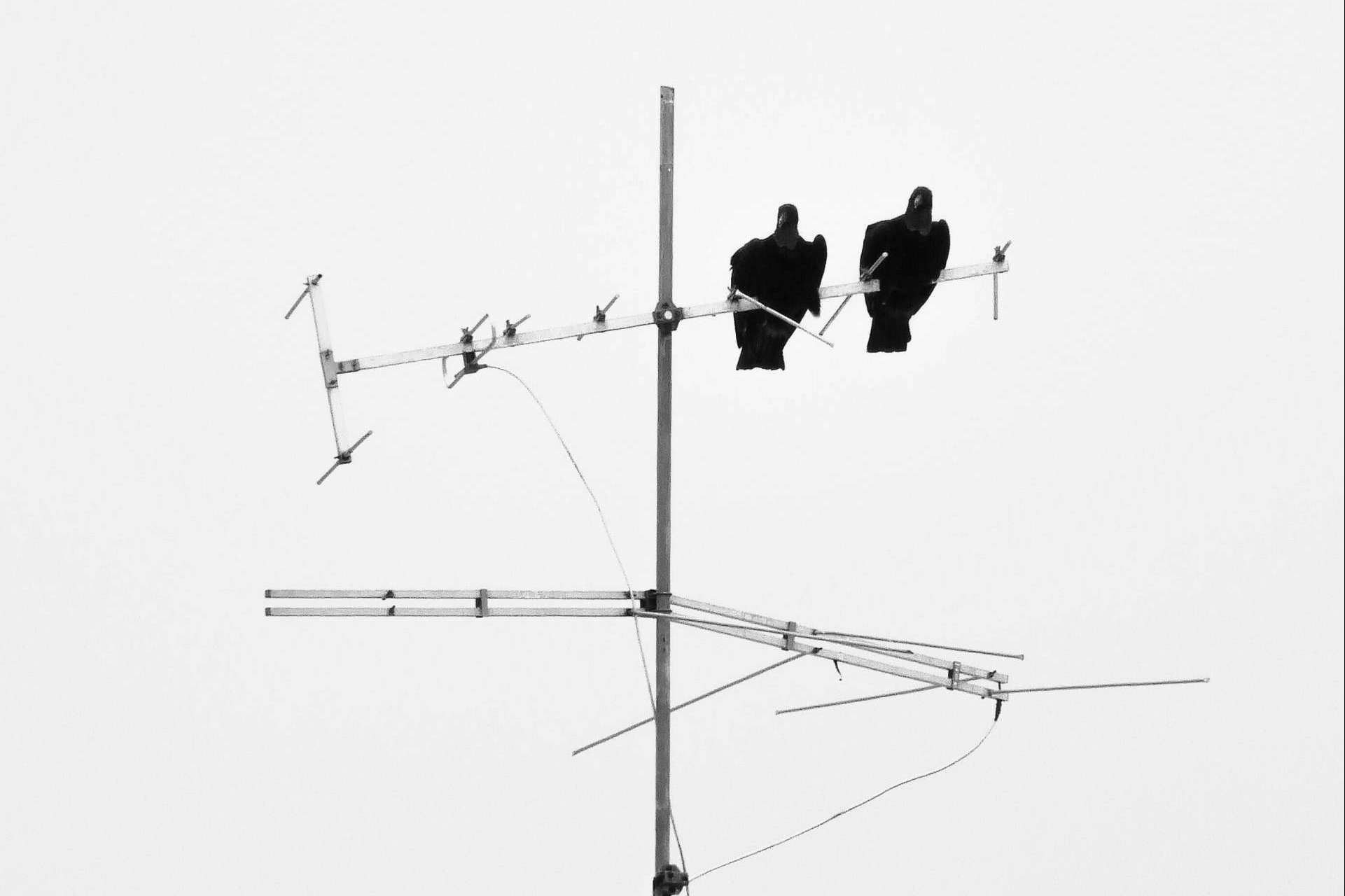Madrid apuesta por Parisat para la instalación de antenas parabólicas, antenas TDT y vídeoporteros