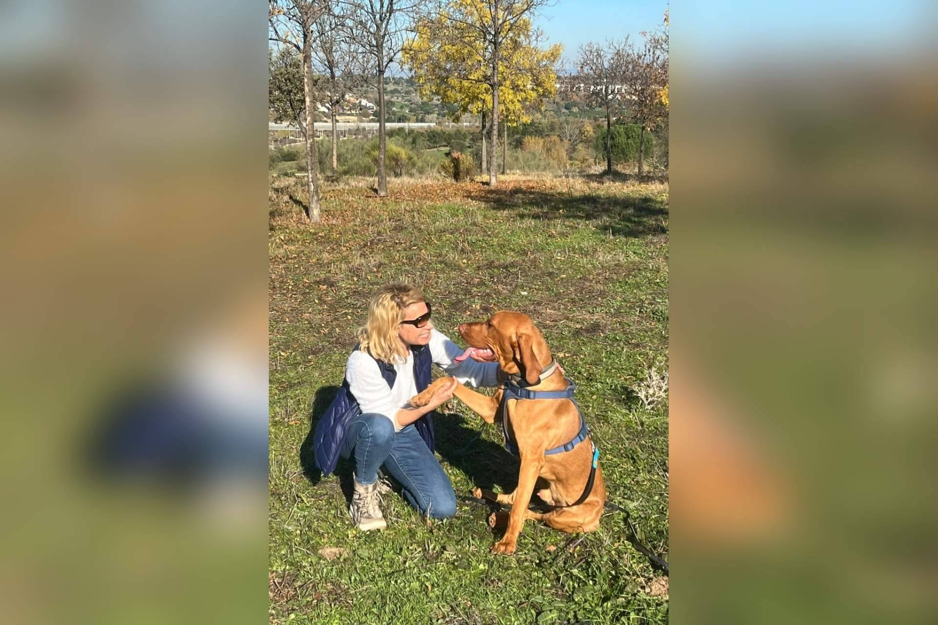 Referentes en adiestramiento canino en Madrid; la experiencia de Cole de Canes