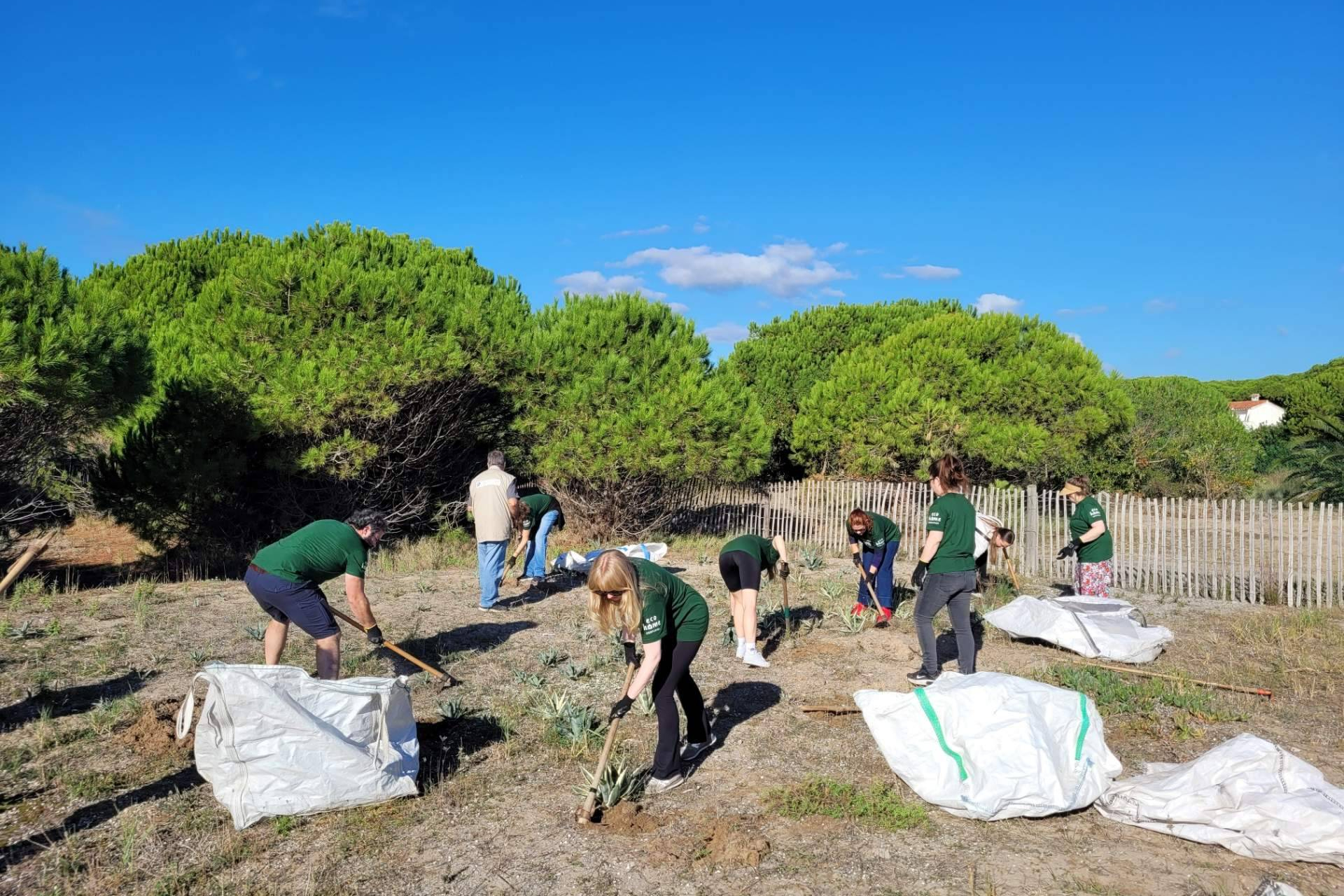 Interhome refuerza su compromiso ambiental con la restauración del Delta del Llobregat
