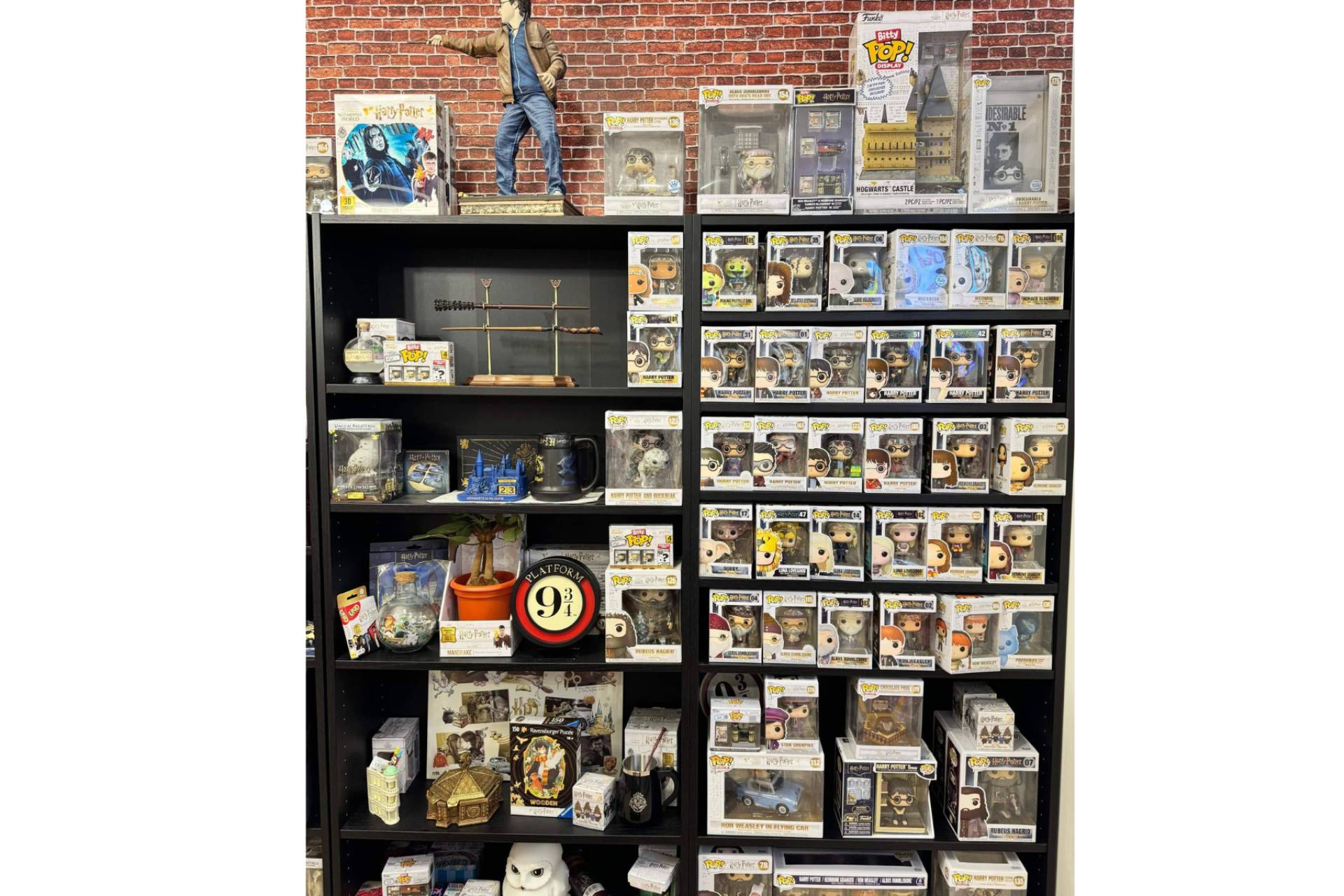 Passarella, la tienda de referencia de Harry Potter en Valencia
