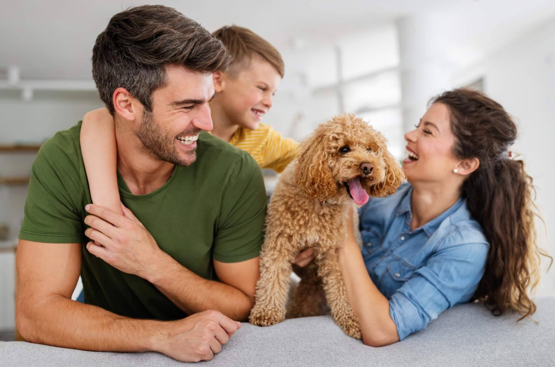 Zoovify reúne productos virales de TikTok para cocina, hogar, belleza, mascotas y jardín