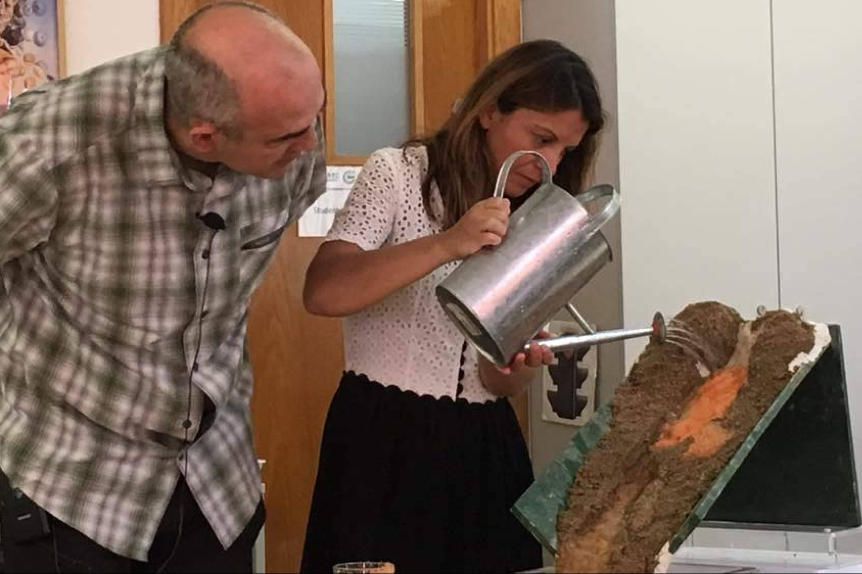 La Asociación Montessori Internacional amplía su oferta de formación profesional para maestros en España
