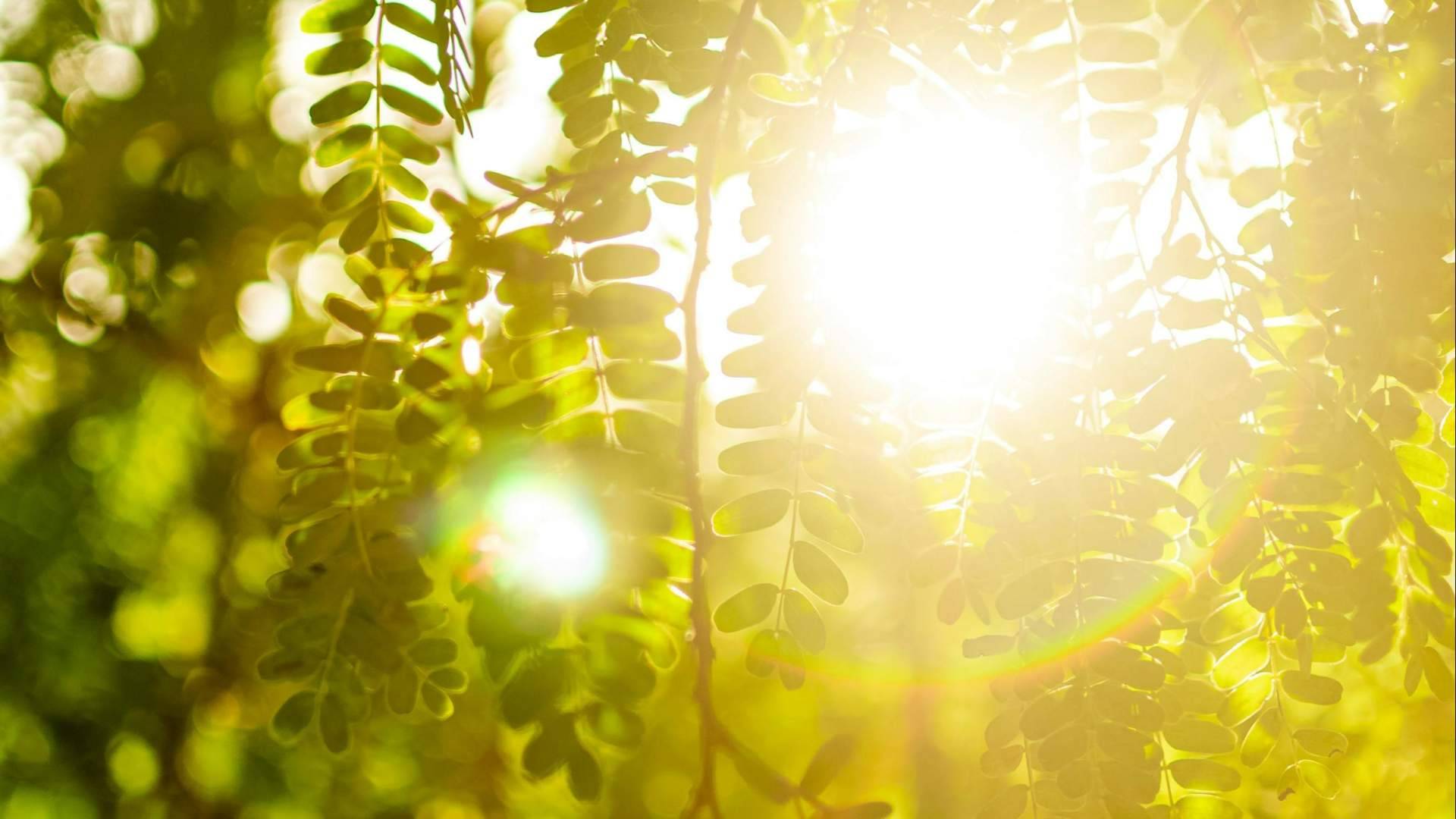 'Primaverano'; síntomas de alergia primaveral y calor del verano