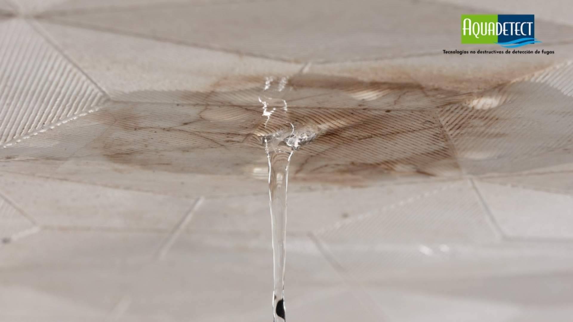 10 señales que indican que se tiene una fuga de agua oculta